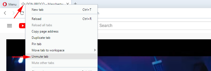 No sound in the browser Opera