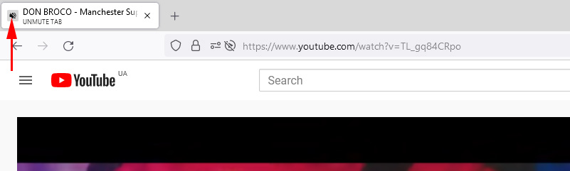 No sound in the browser Mozilla Firefox in Windows 10