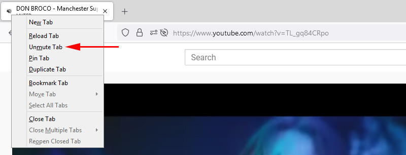 Sound in a Firefox browser tab